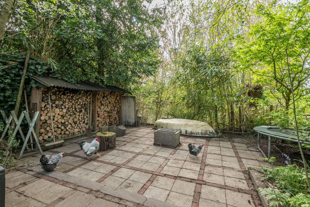 Foto 31 van Molendijk 61