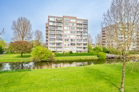 Rosa Spierlaan thumbnail