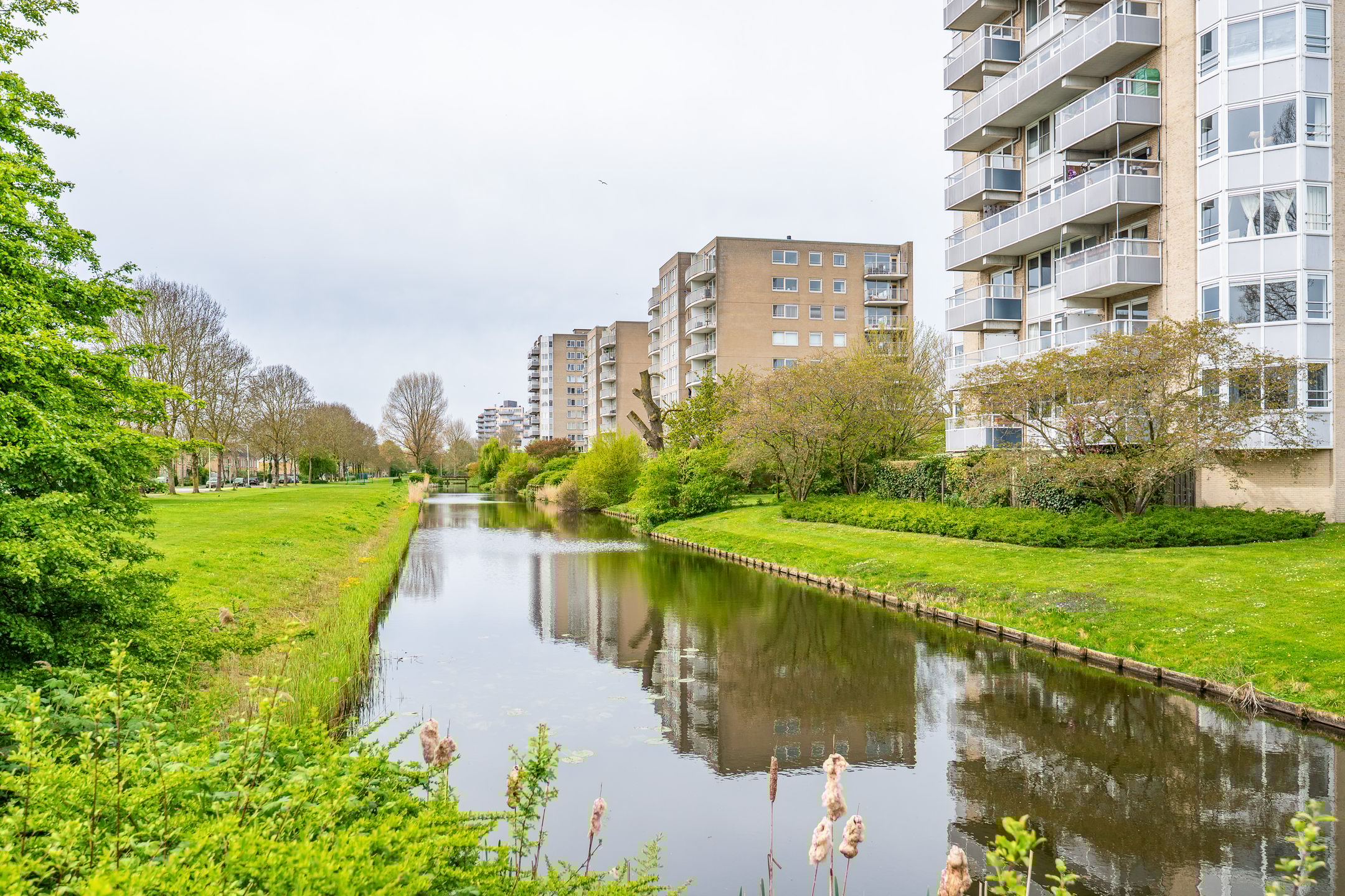 Foto 9 van Rosa Spierlaan 158