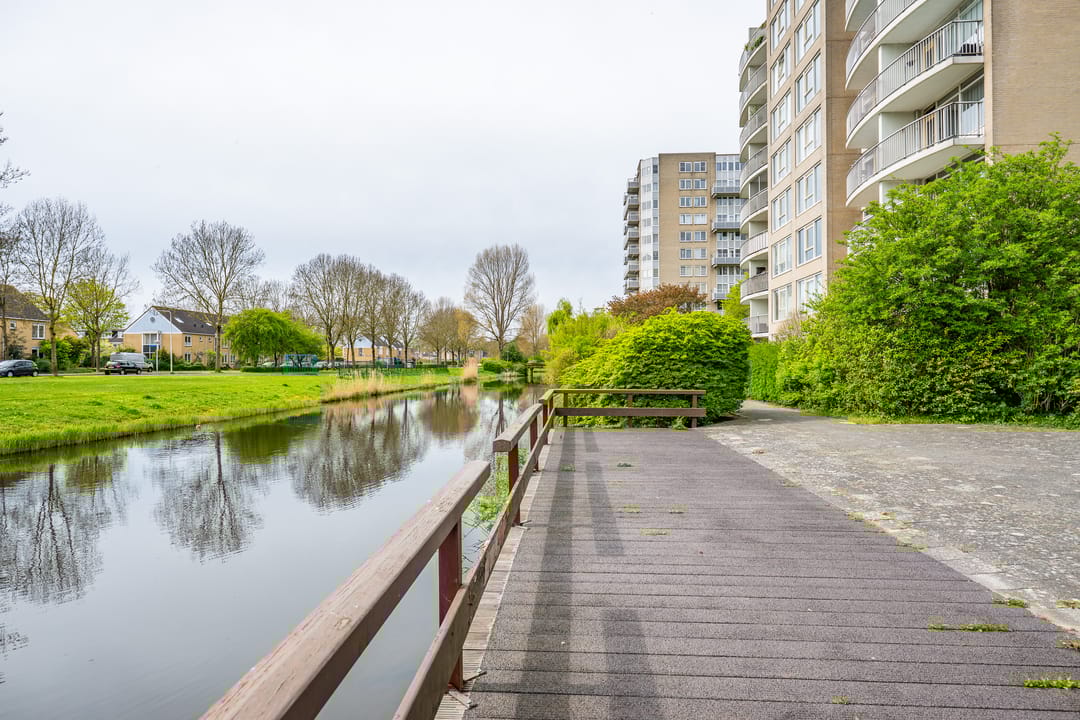 Foto 8 van Rosa Spierlaan 158