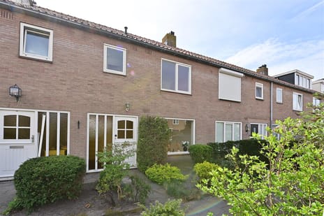 undefined main image