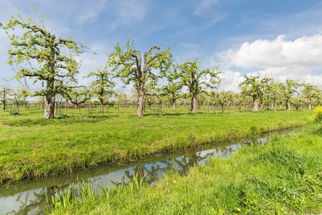 Photo 43 of Nachtegaallaan 1