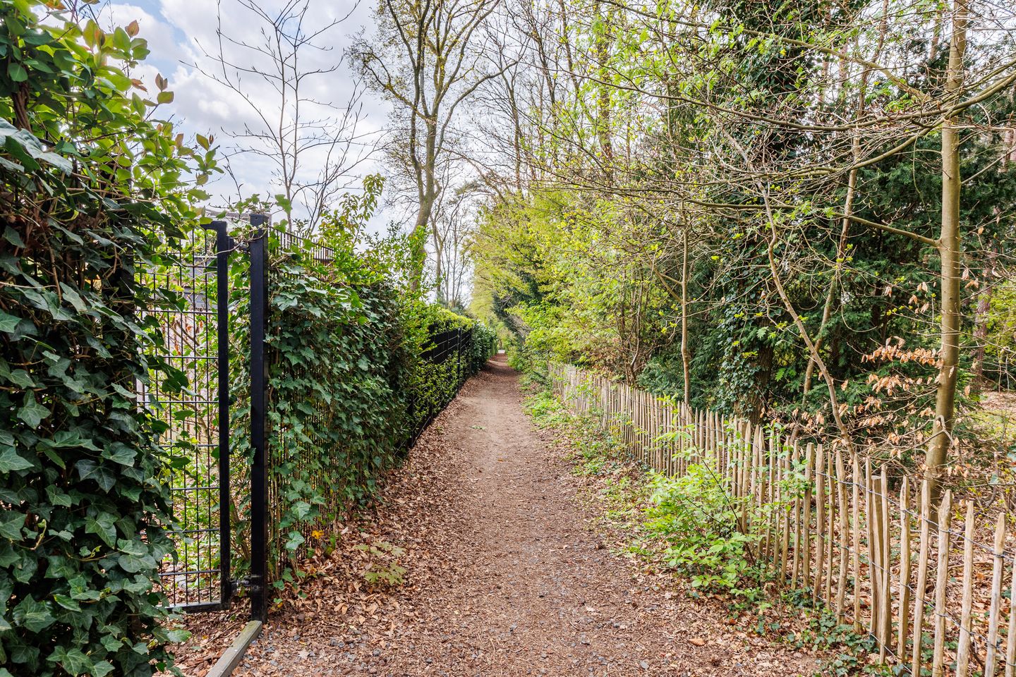 Foto 65 van MOVA-laan 7