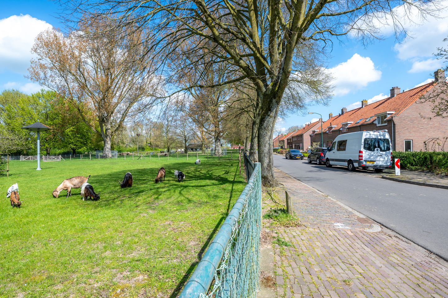 Foto 50 van Wethouder de Greeflaan 11