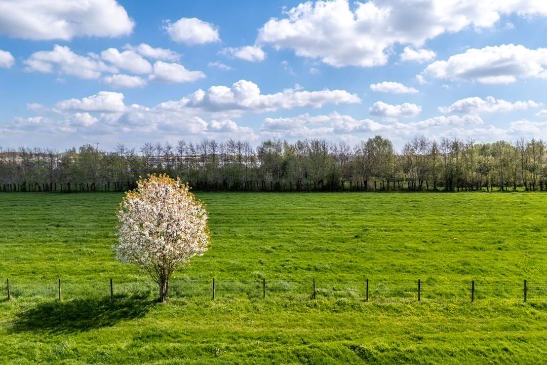 Foto 52 van Wethouder de Greeflaan 11