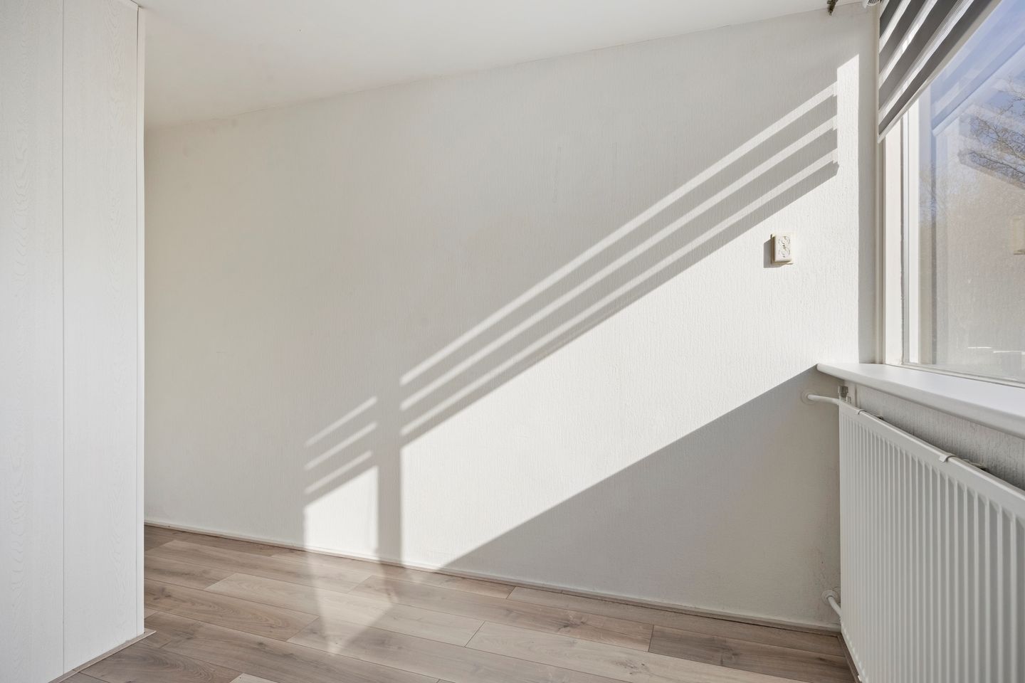 Foto 25 van Tollensstraat 117