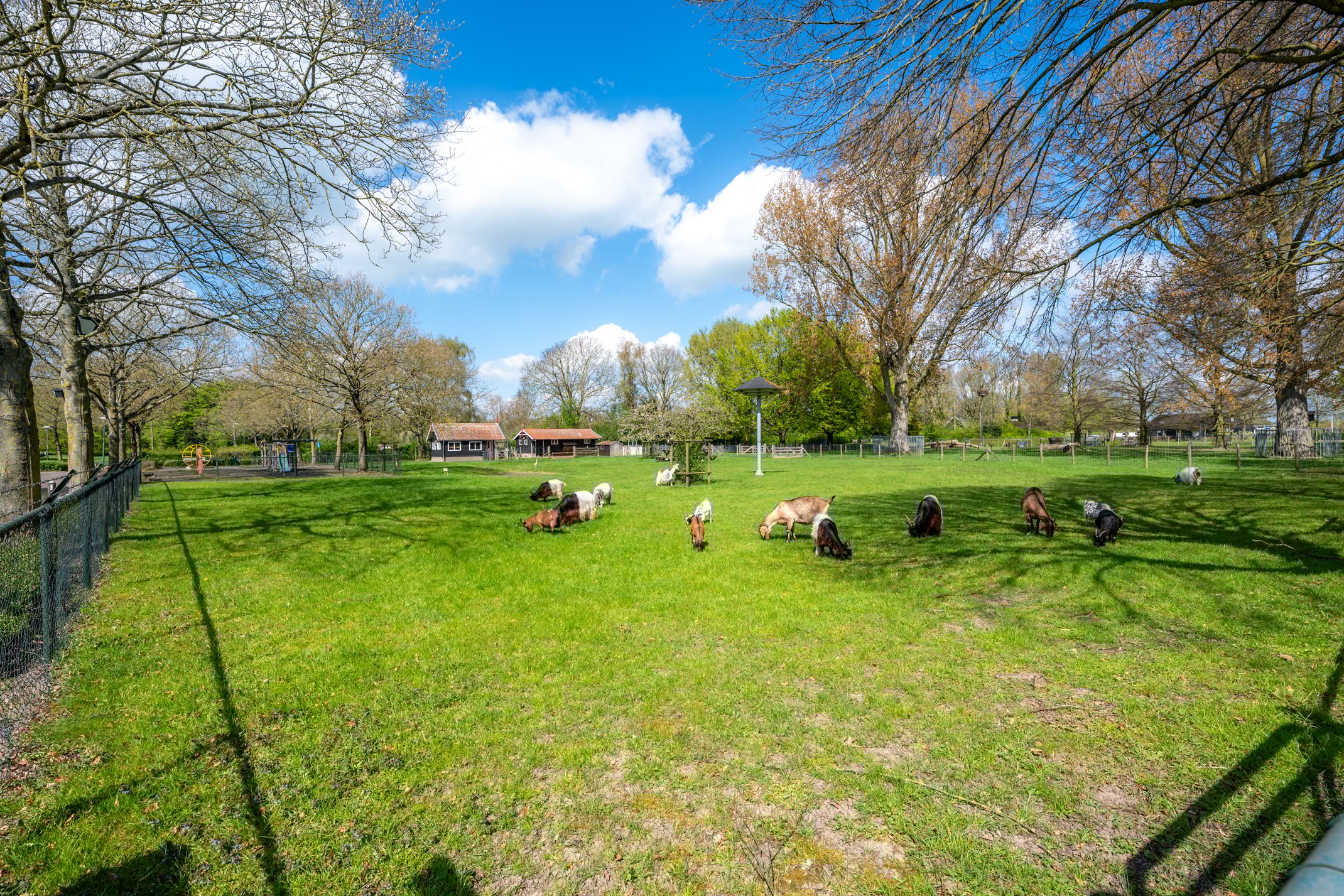 Foto 51 van Wethouder de Greeflaan 11