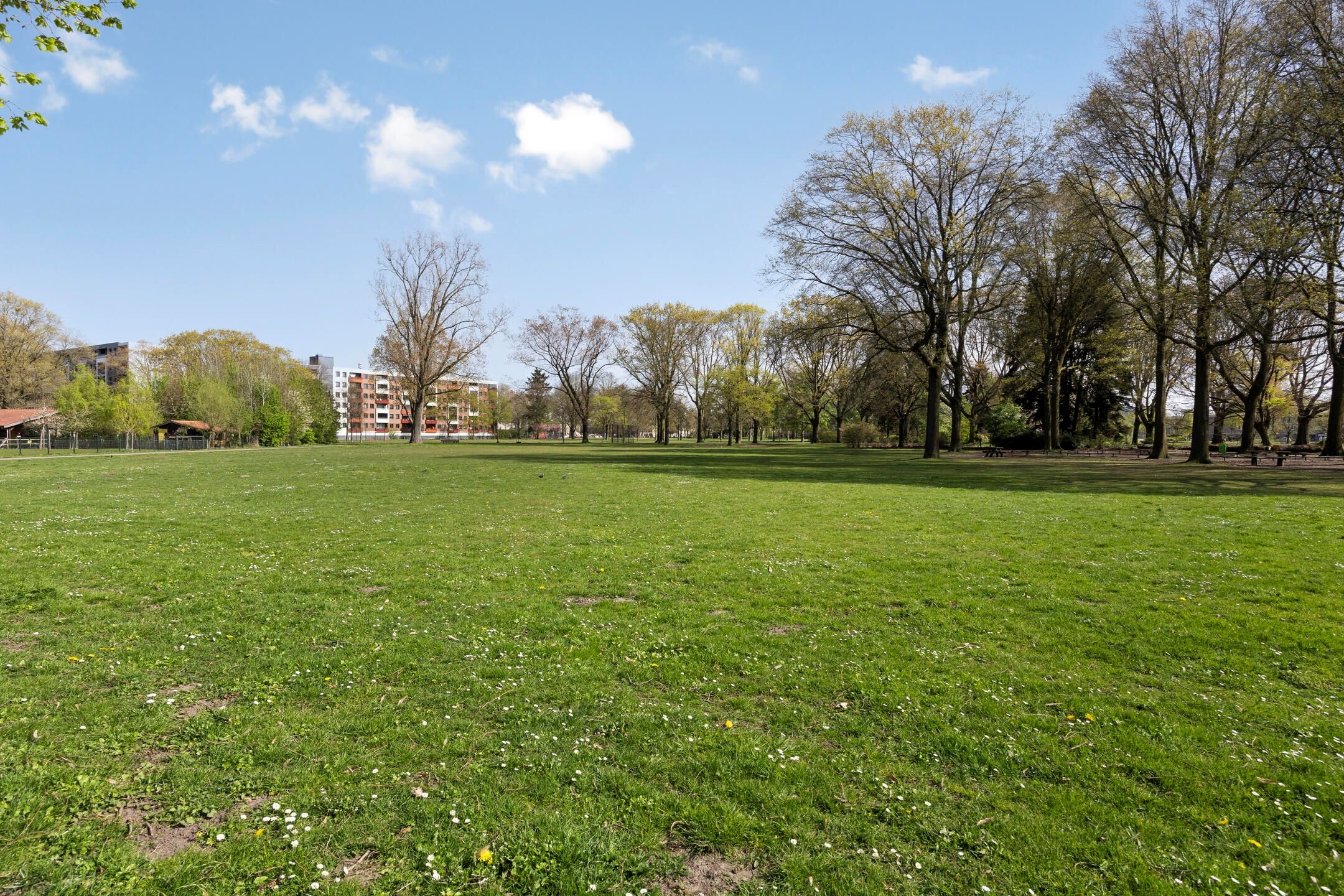 Foto 39 van Tollensstraat 117