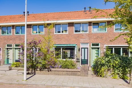 Pieter de la Courtstraat thumbnail