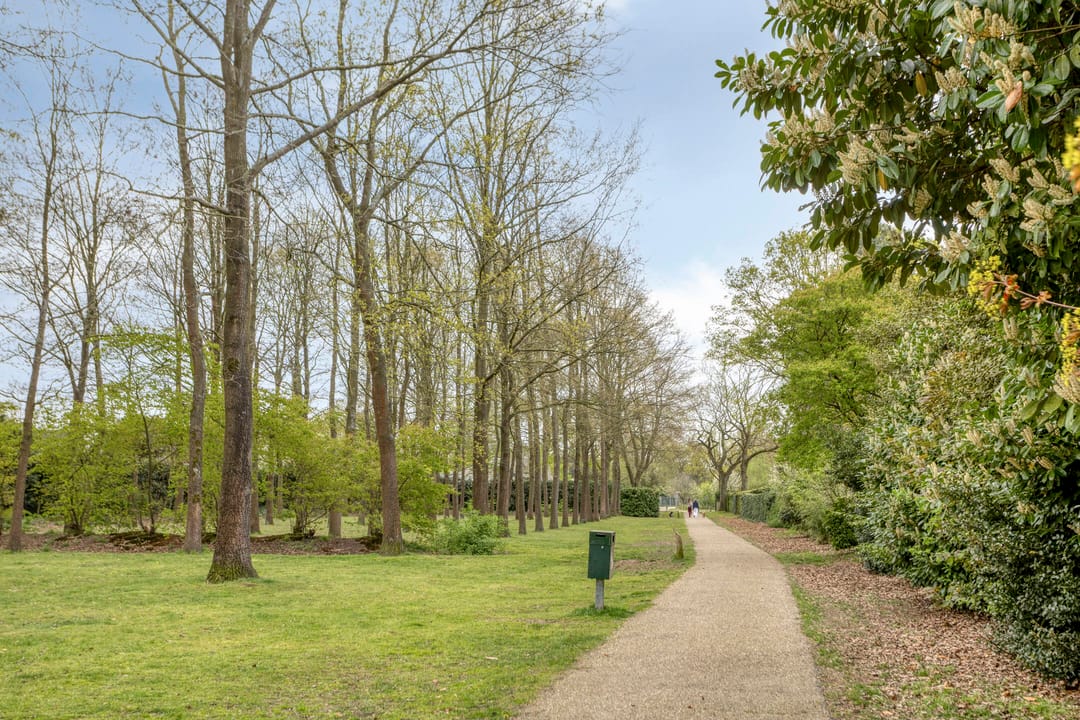 Foto 58 van Witte Hoeflaan 11