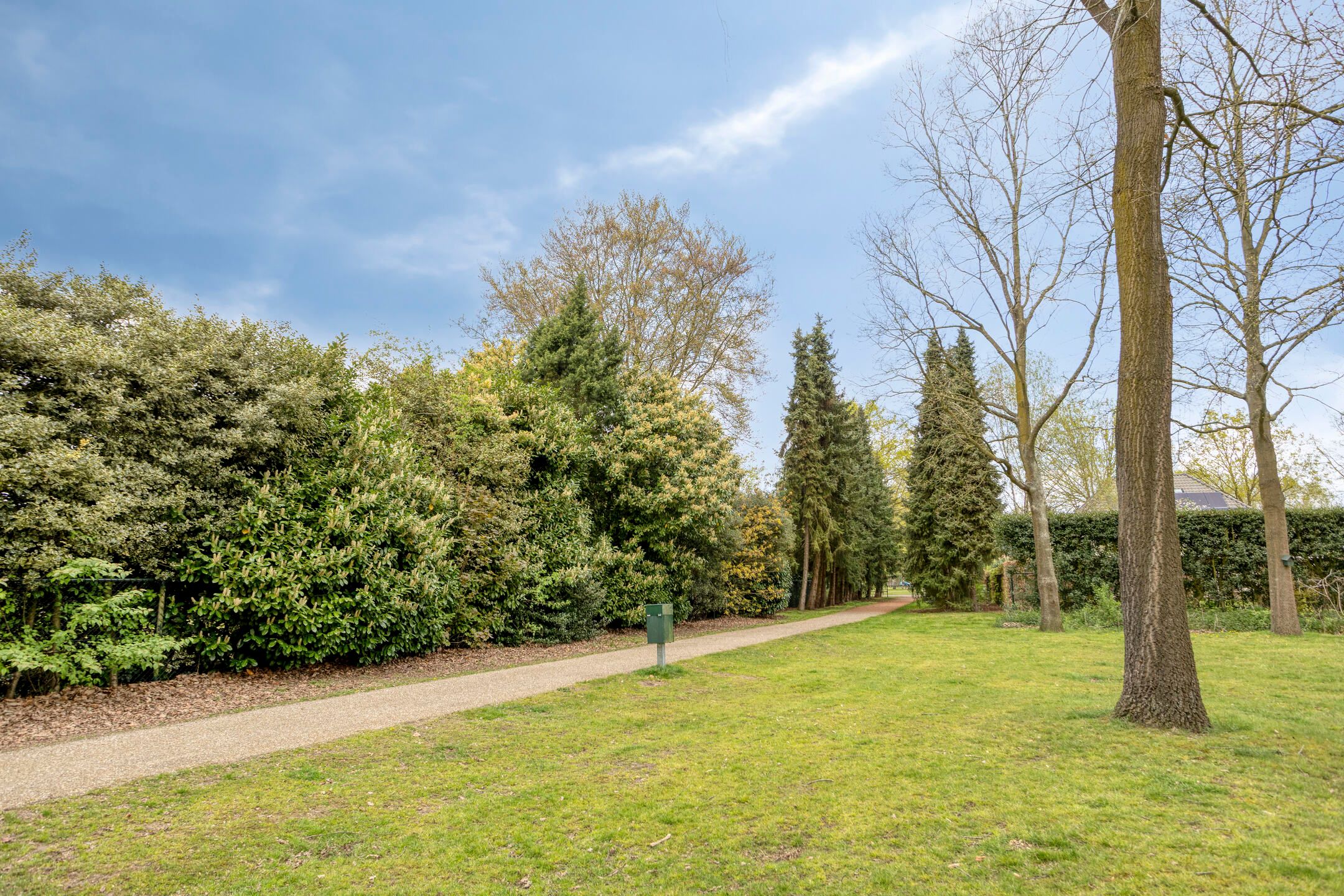 Foto 57 van Witte Hoeflaan 11