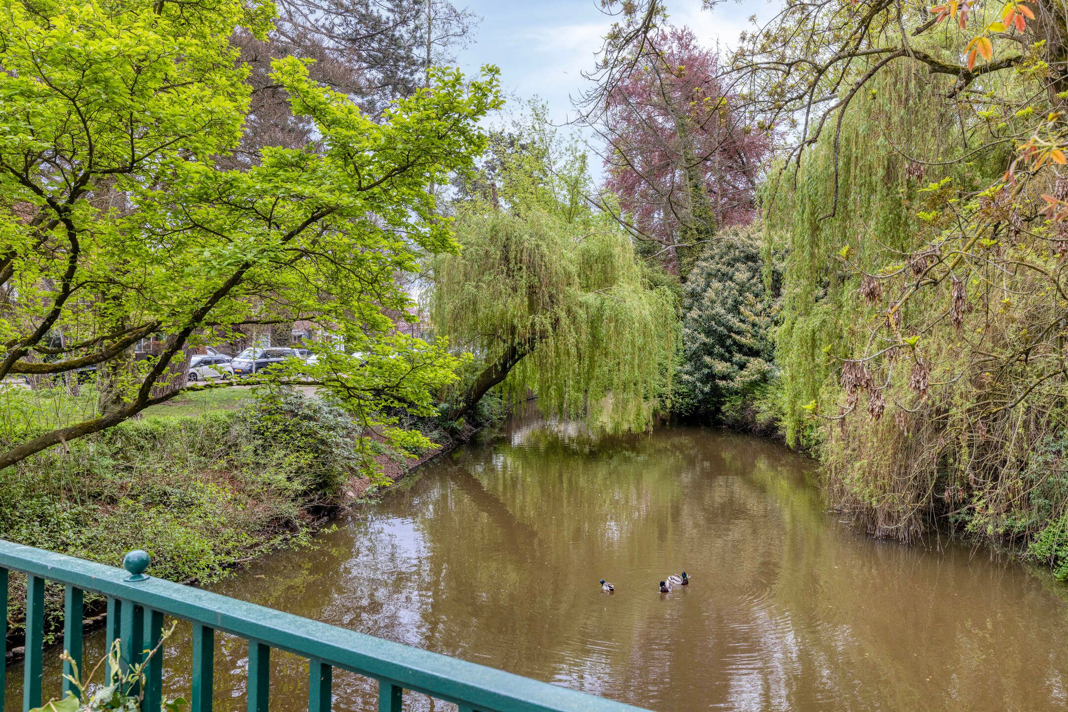 Photo 30 of Paradijslaan 27