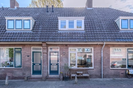 Tulpstraat thumbnail