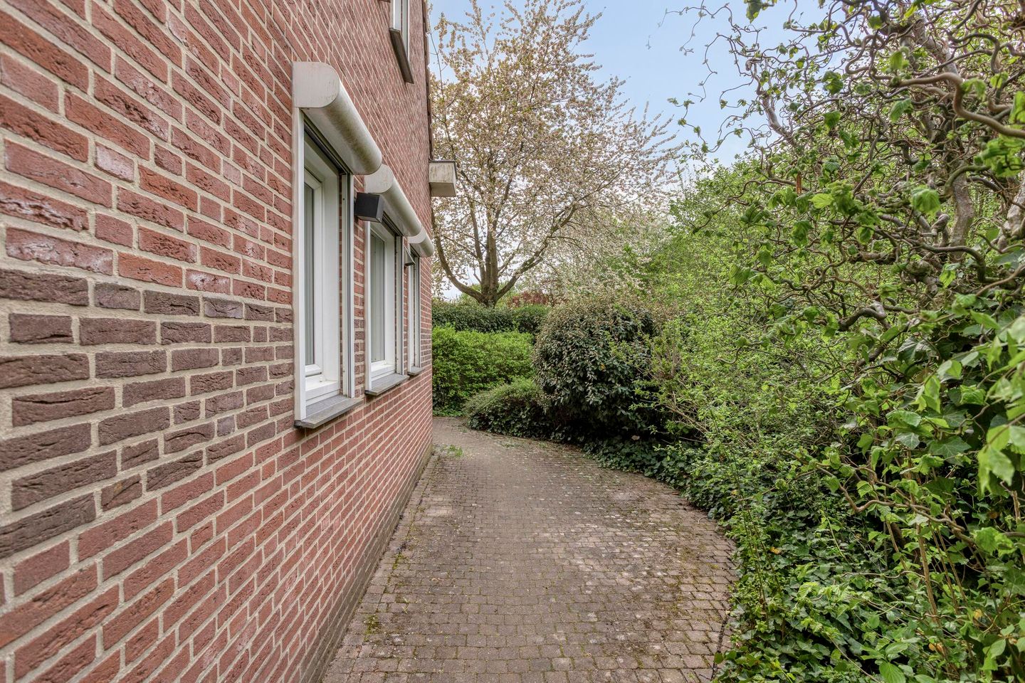 Foto 44 van Mies van der Rohestraat 16