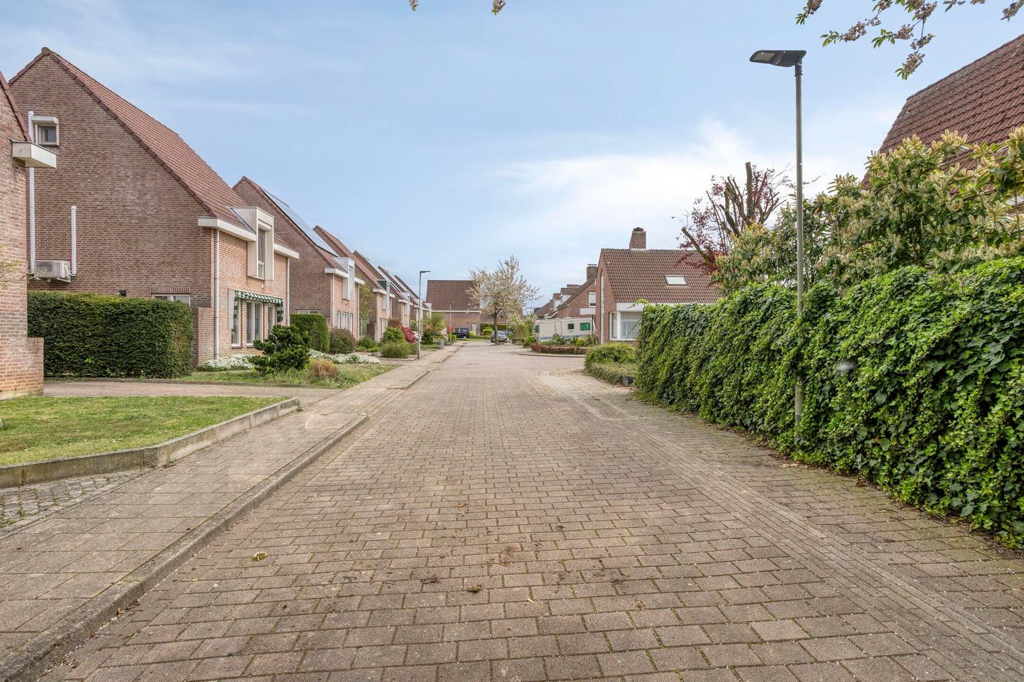 Foto 4 van Mies van der Rohestraat 16