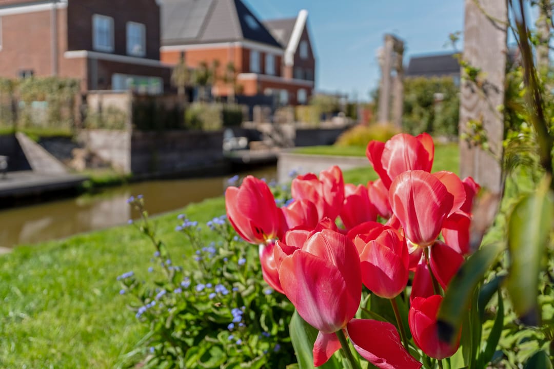 Photo 73 of Maanzicht 23