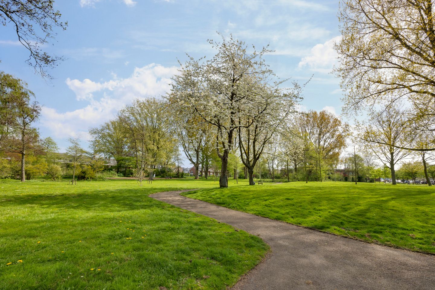 Foto 44 van Lepelaarplantsoen 95