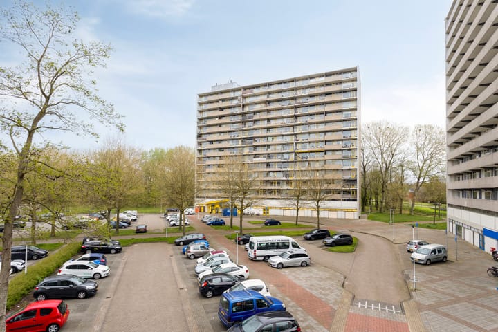 Foto 4 van Tjaarda 392