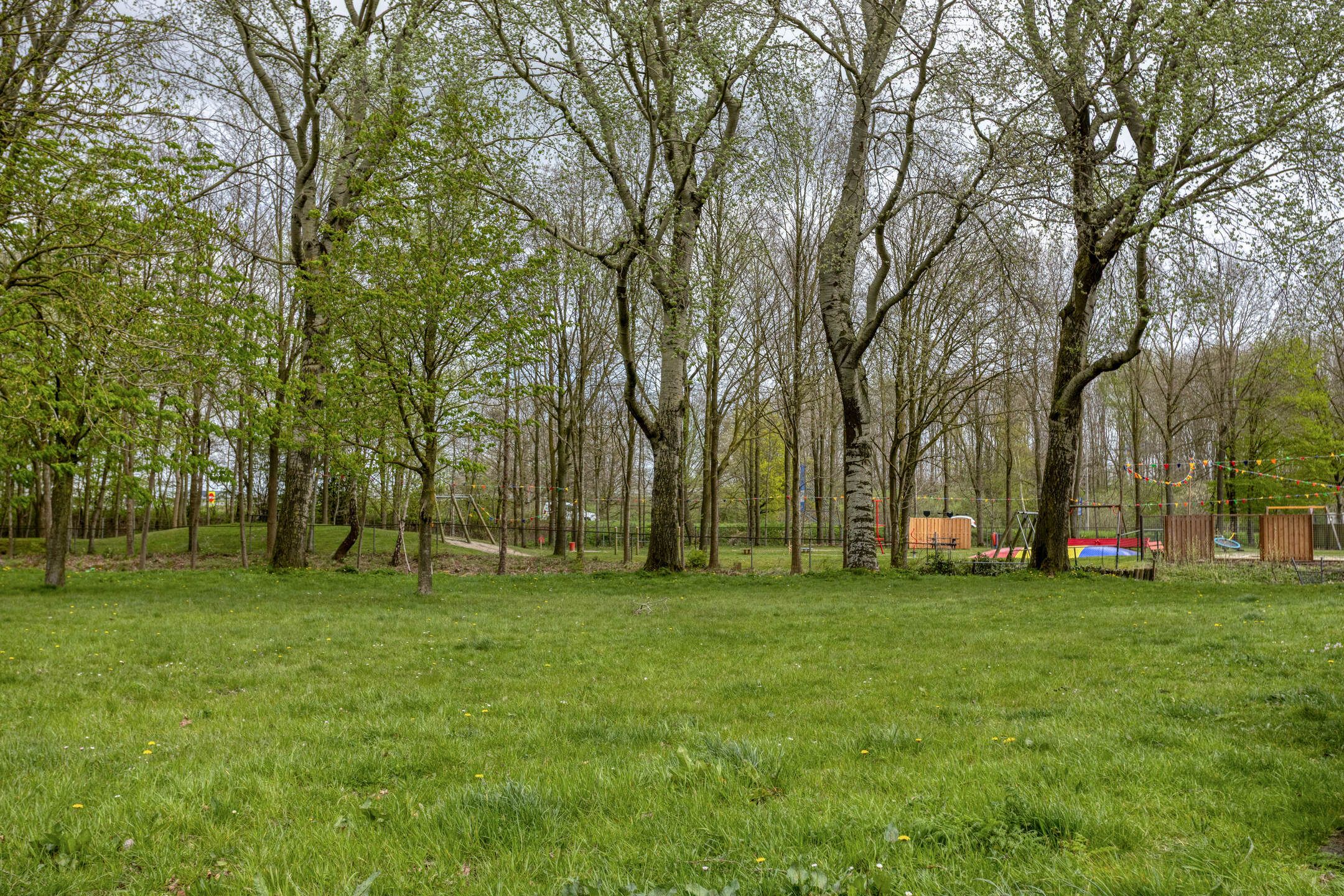 Foto 27 van Tjaarda 392