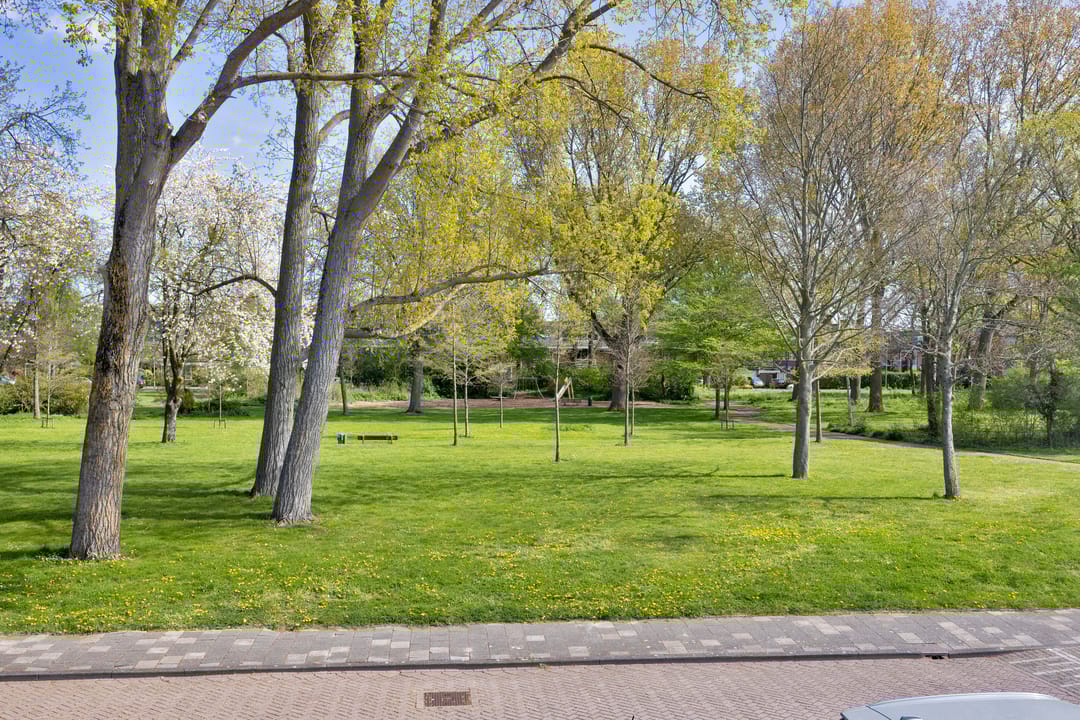 Foto 43 van Lepelaarplantsoen 95