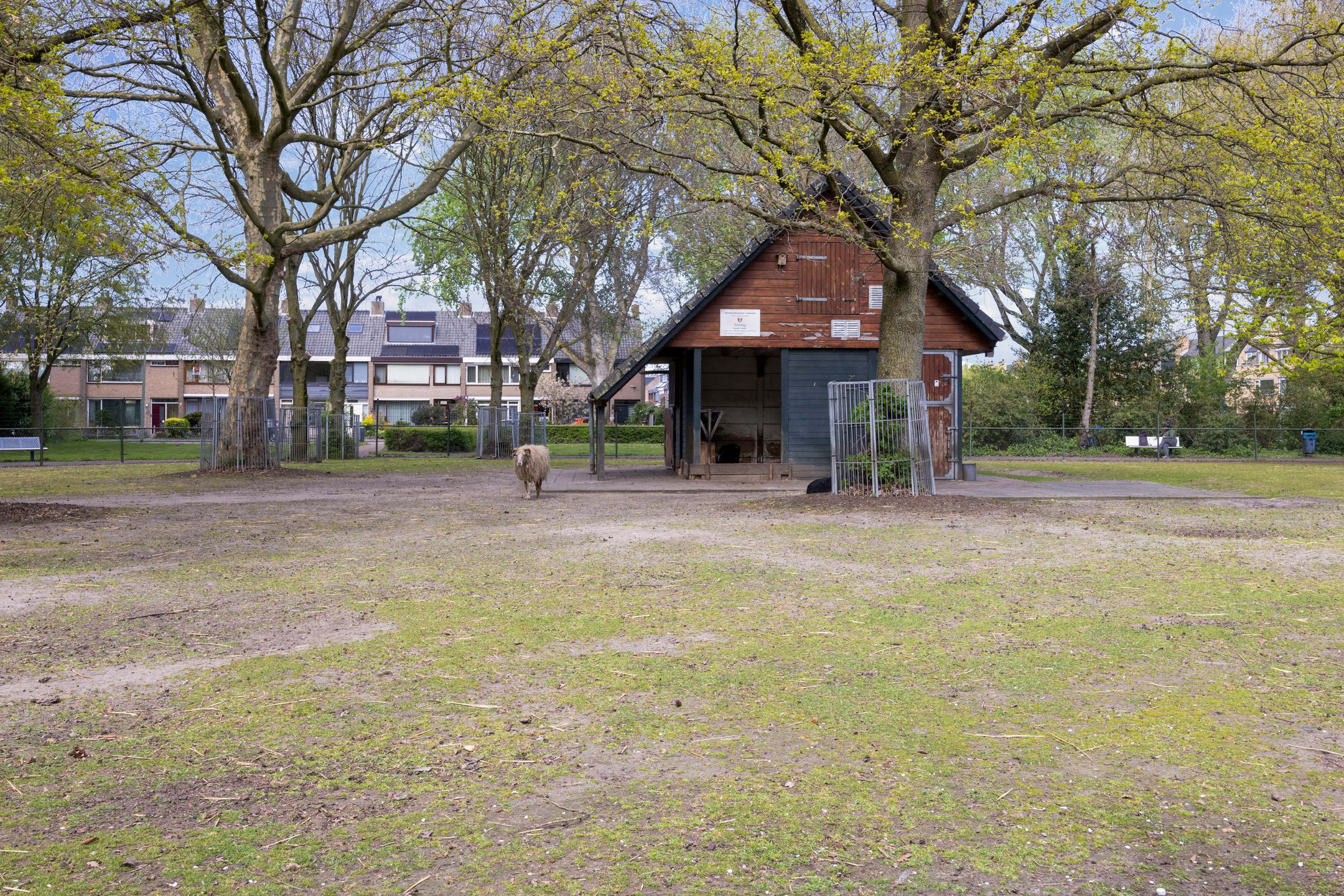 Foto 45 van Lepelaarplantsoen 95