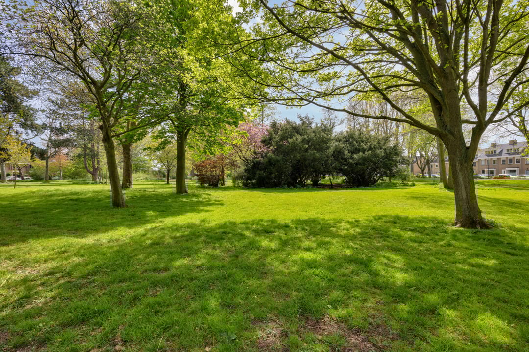 Foto 46 van Lepelaarplantsoen 95