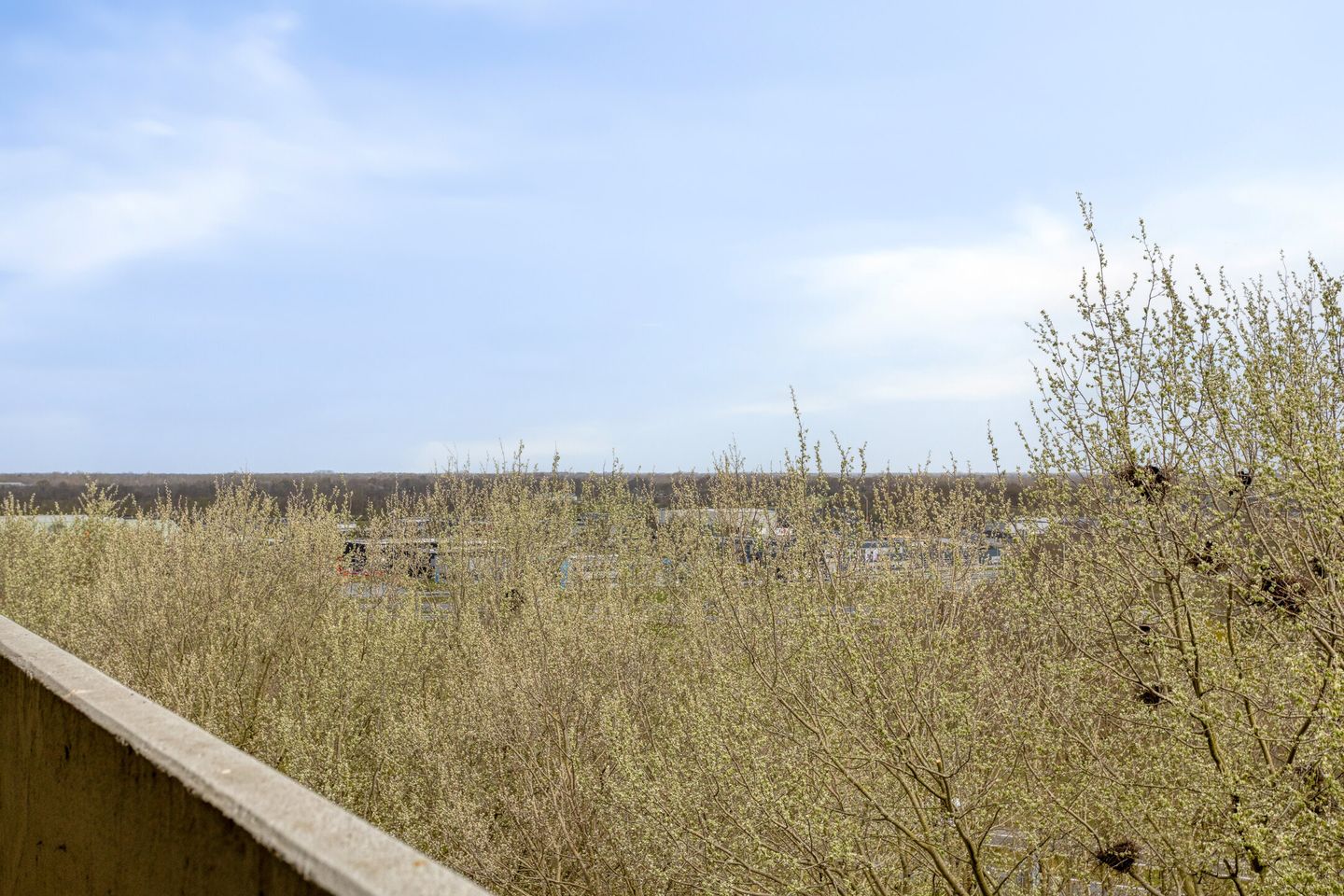 Foto 19 van Tjaarda 392