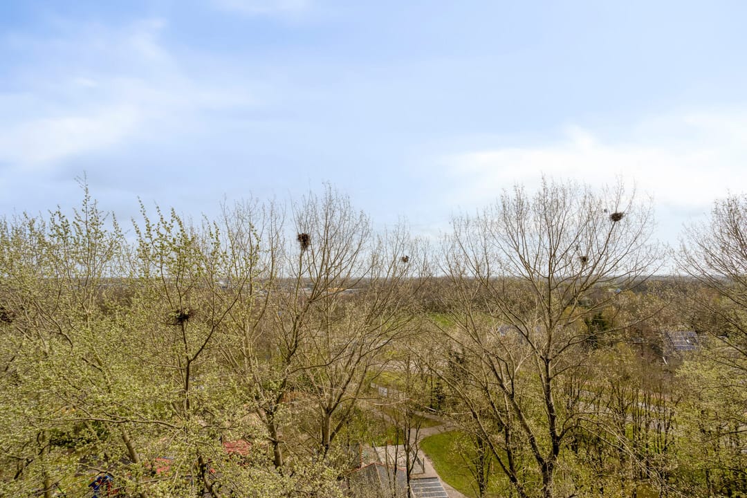 Foto 26 van Tjaarda 392