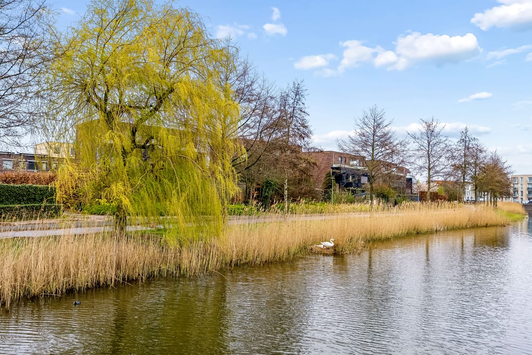 Foto 53 van Roald Amundsenstraat 61