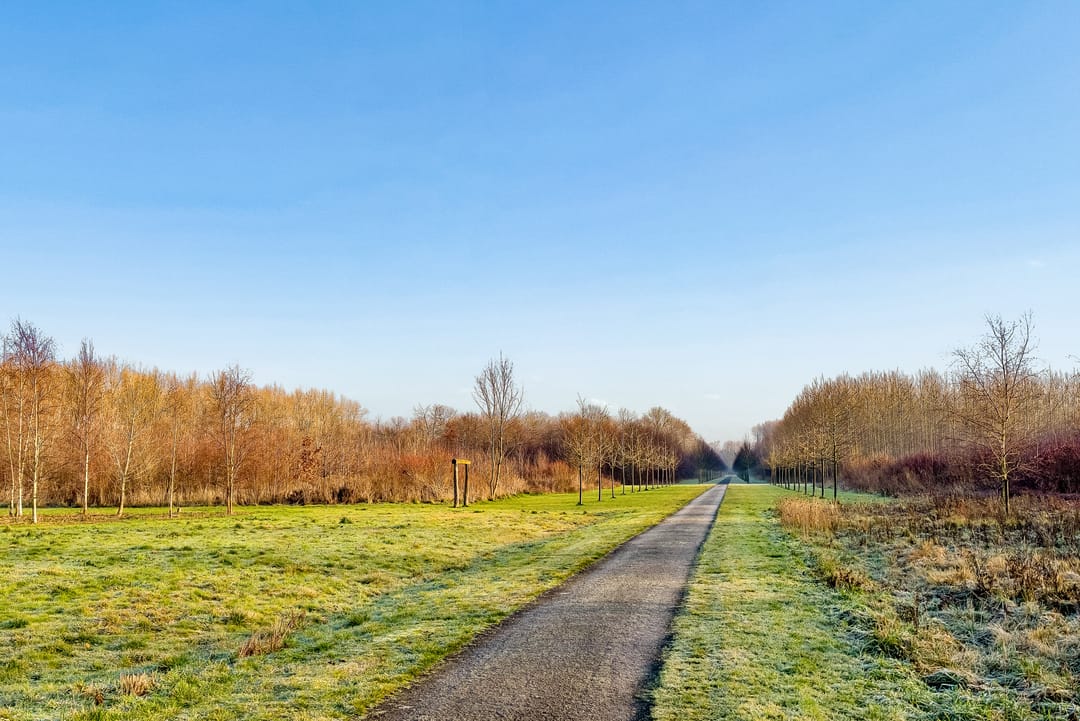 Foto 52 van Roald Amundsenstraat 61