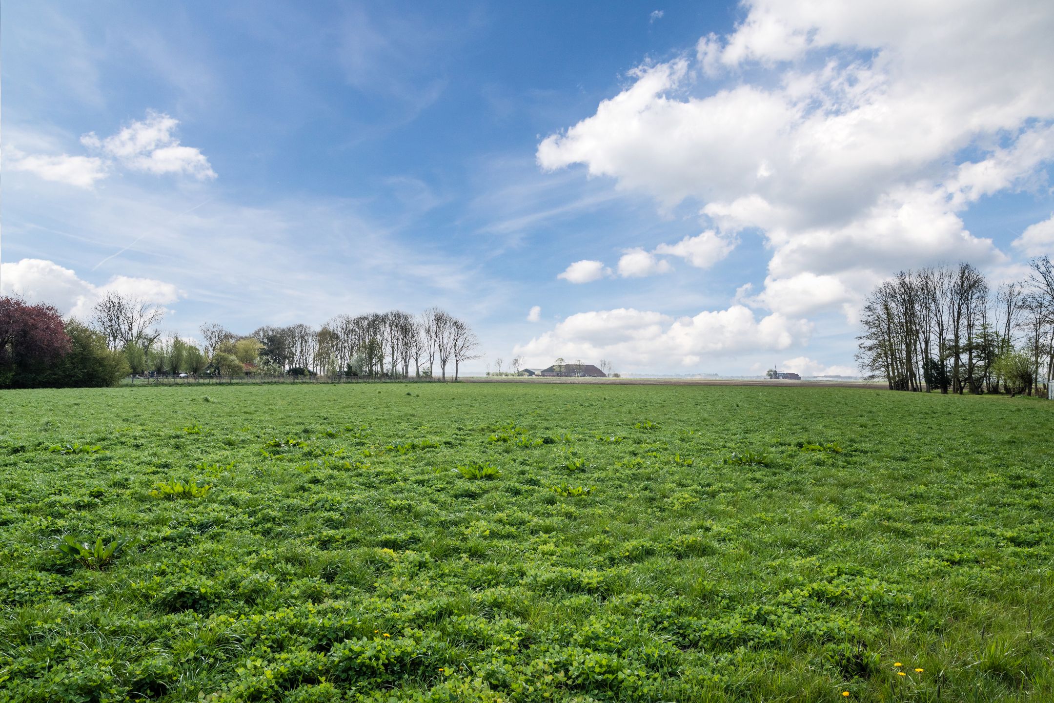 Photo 54 of Karspellaan 11