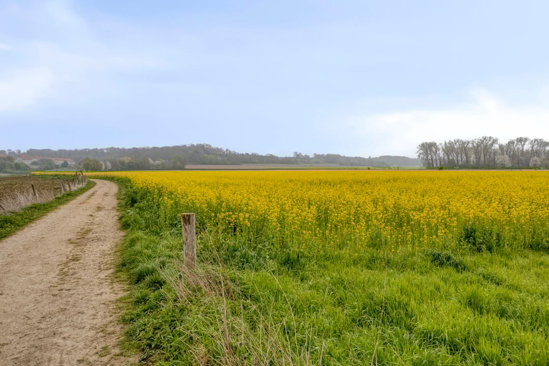 Foto 28 van Proost Banensstraat 45