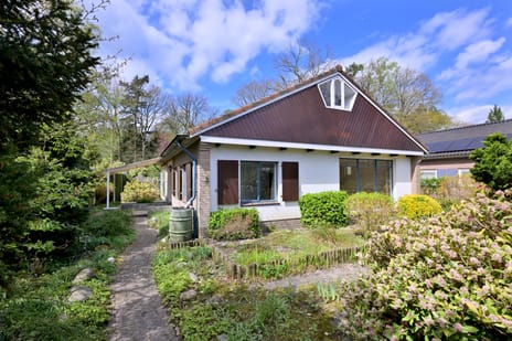 Douglaslaan thumbnail