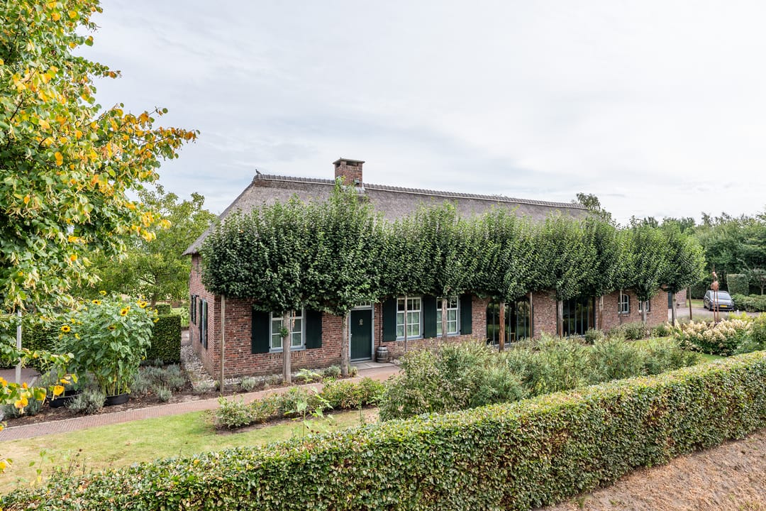 Foto 1 van Pandelaar 87