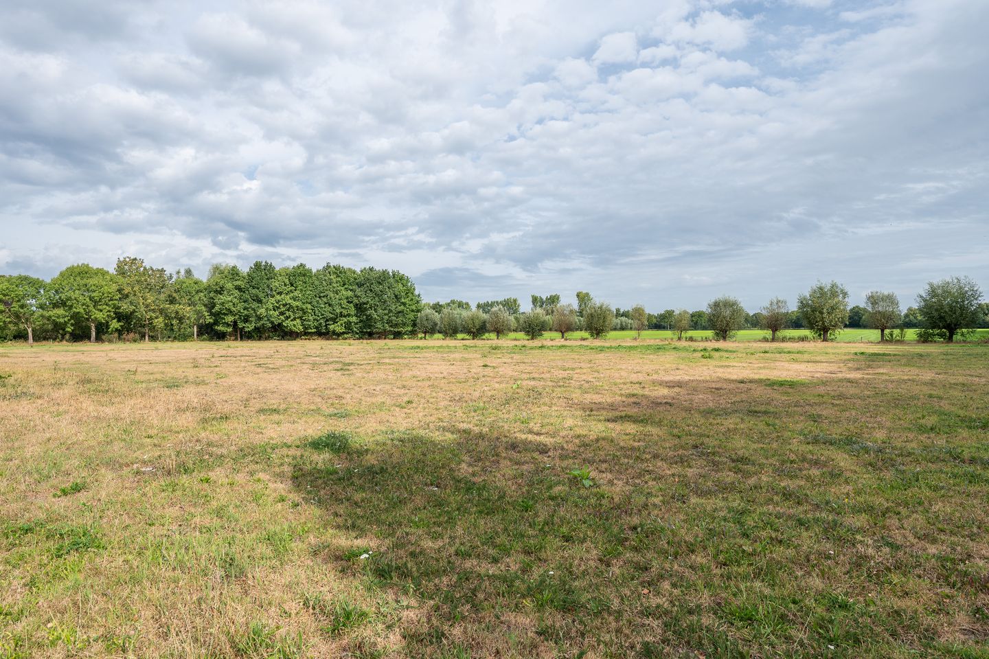 Foto 4 van Pandelaar 87