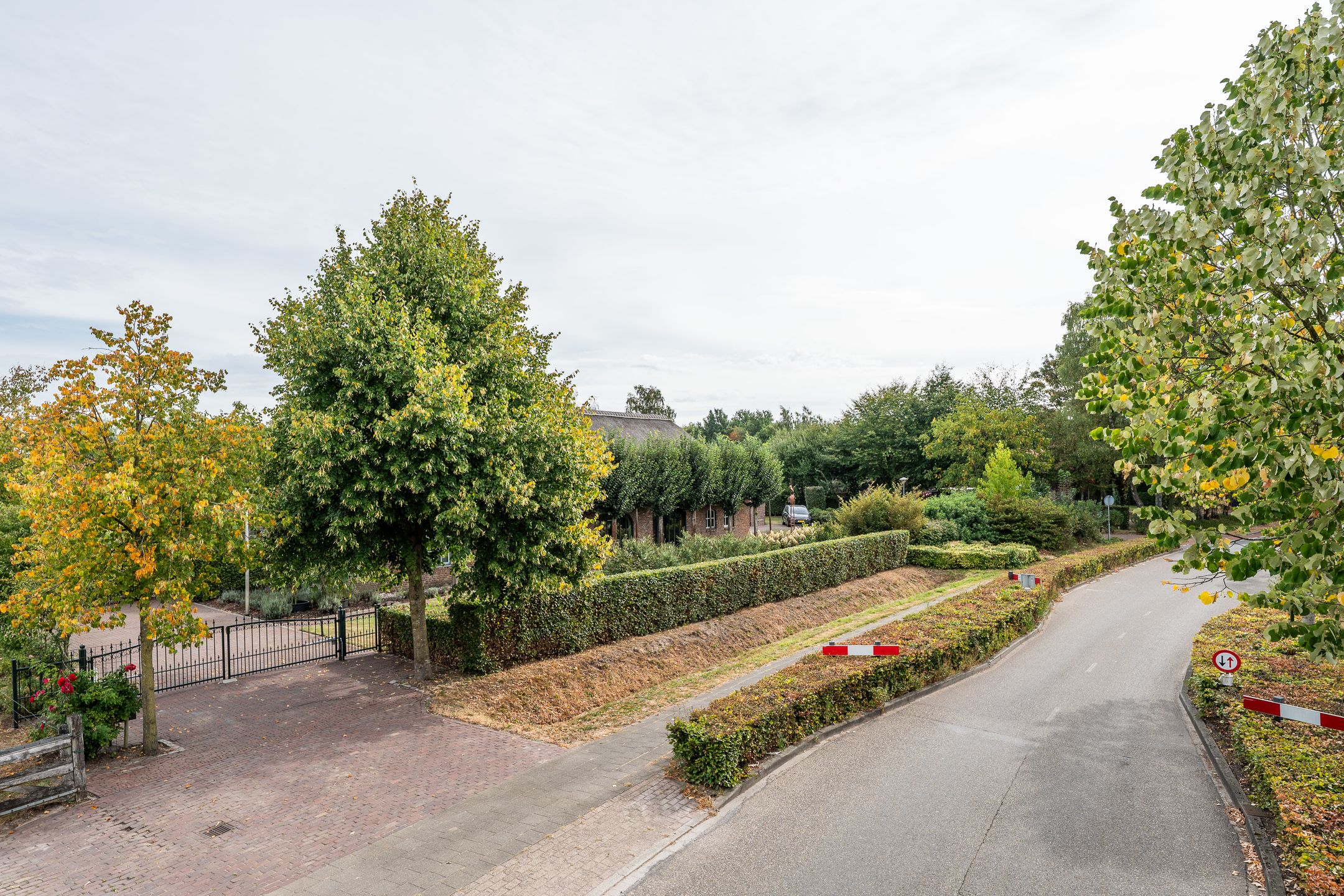 Foto 75 van Pandelaar 87