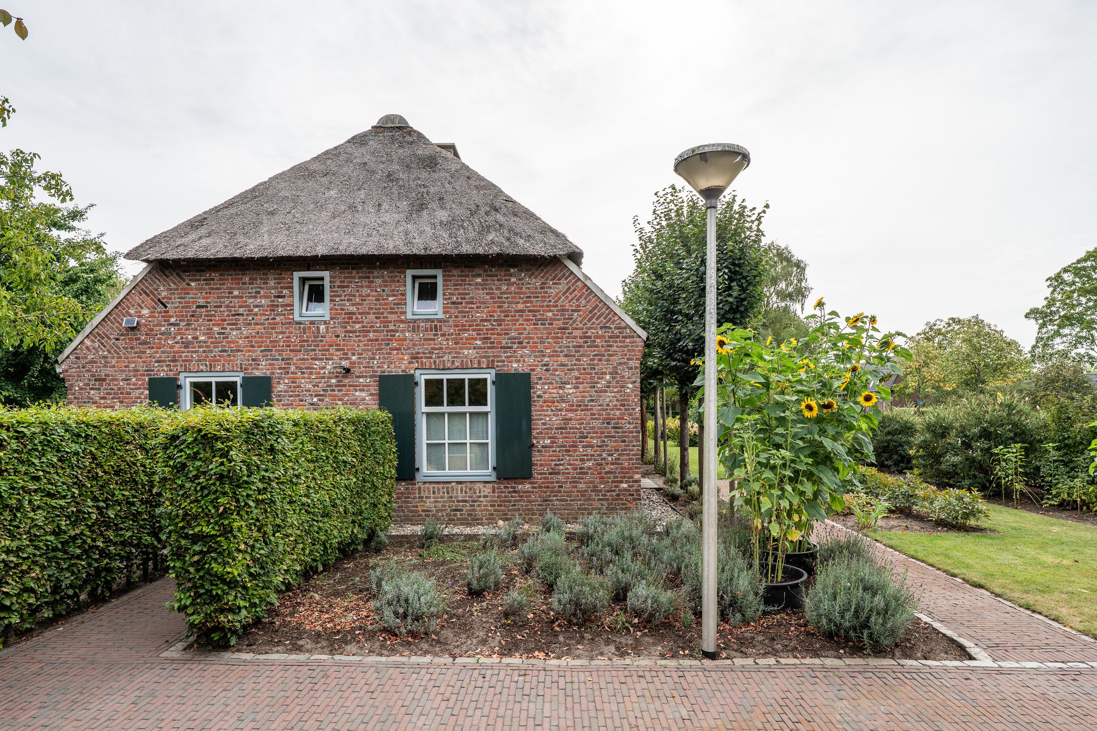 Foto 12 van Pandelaar 87