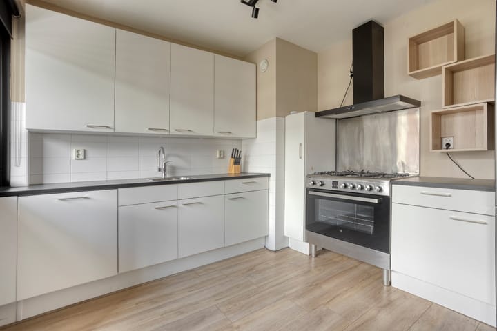 Foto 3 van Ir J.P. van Muijlwijkstraat 192