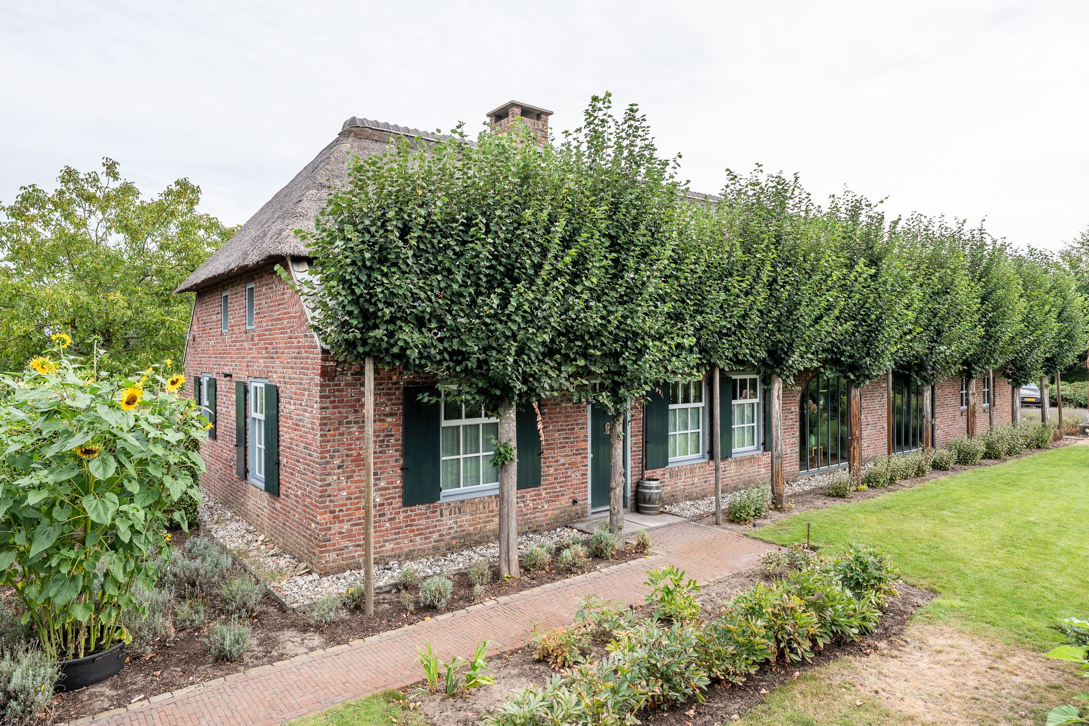 Foto 9 van Pandelaar 87