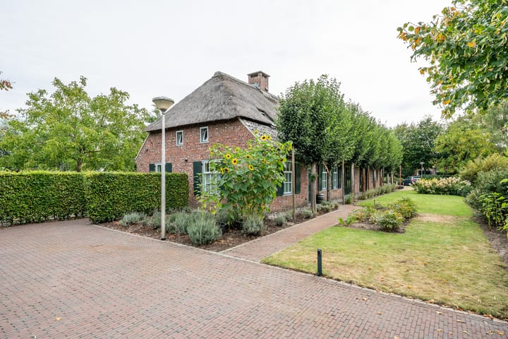 Foto 2 van Pandelaar 87