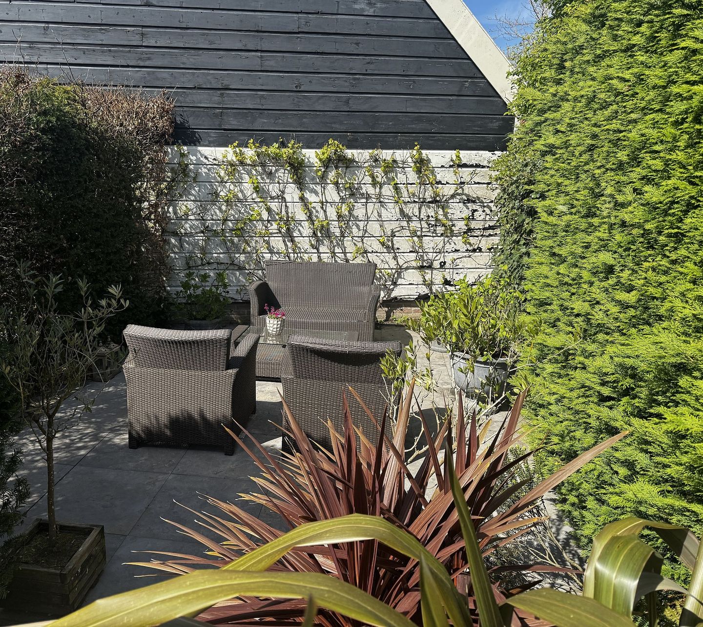 Foto 25 van Wagenaarstraat 18