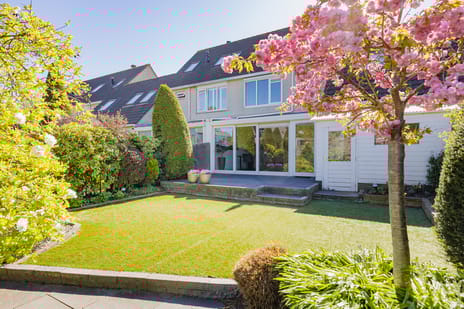 Paltrokmolen 56 secondary image