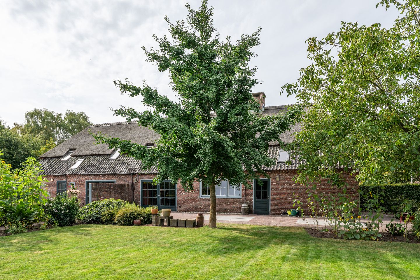 Foto 59 van Pandelaar 87