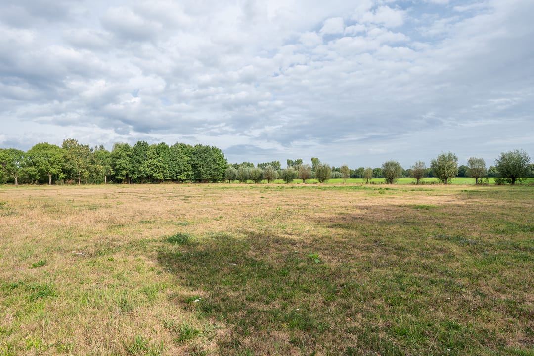 Foto 76 van Pandelaar 87