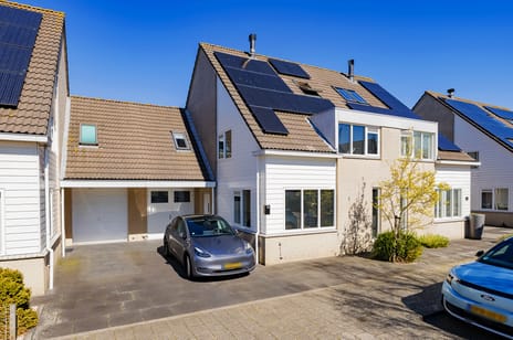 Paltrokmolen thumbnail