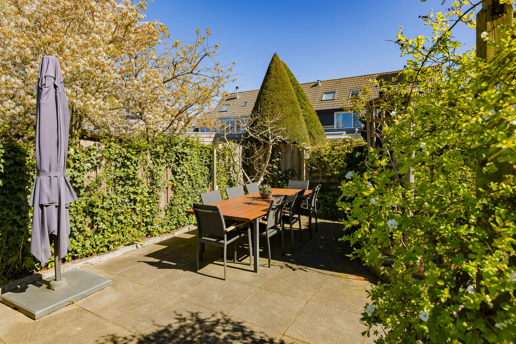 Photo 42 of Paltrokmolen 56