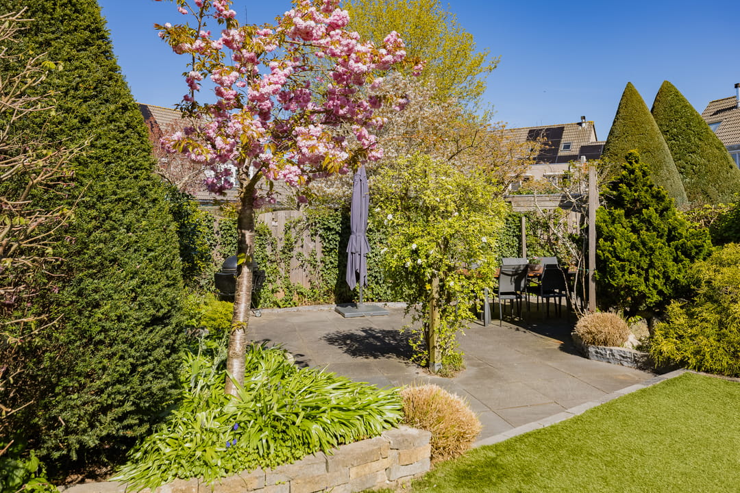 Photo 43 of Paltrokmolen 56