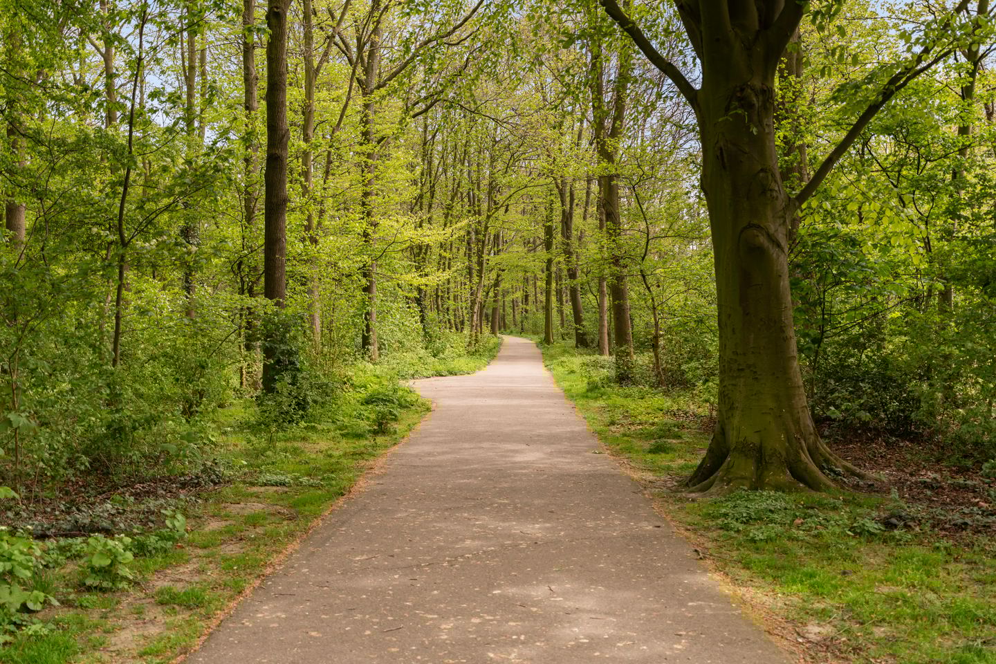 Photo 40 of Rubensplein 5-D