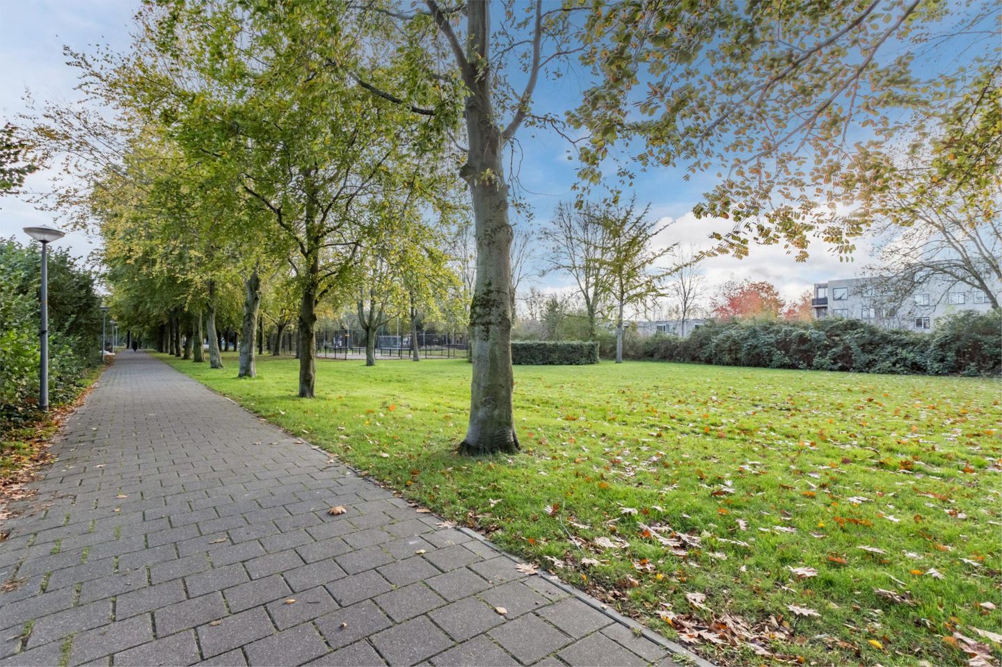 Foto 29 van Lelietje-van-Dalenstraat 2