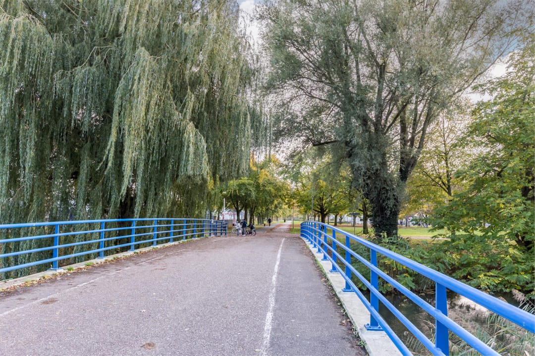 Foto 31 van Lelietje-van-Dalenstraat 2